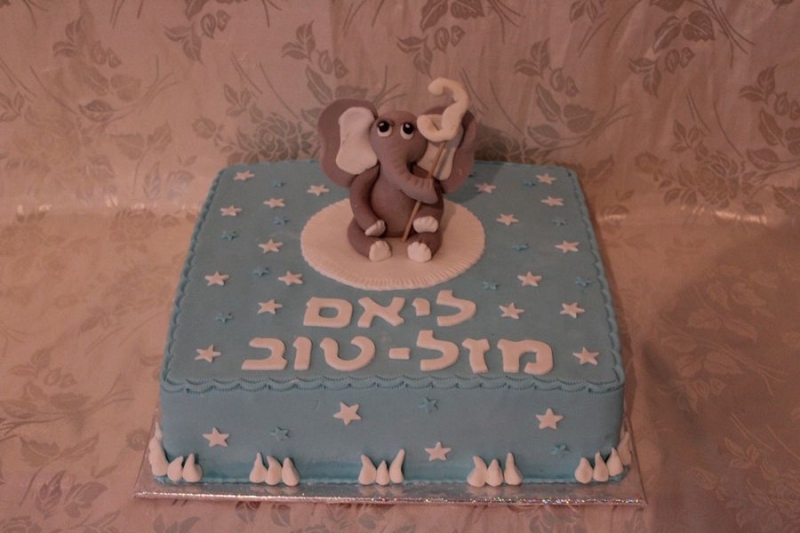 עוגה ליום הולדת פיל מפוסל